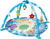 Winfun Baby Gym With Hanging Toys