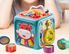 Multifunction Musical Activity Cube