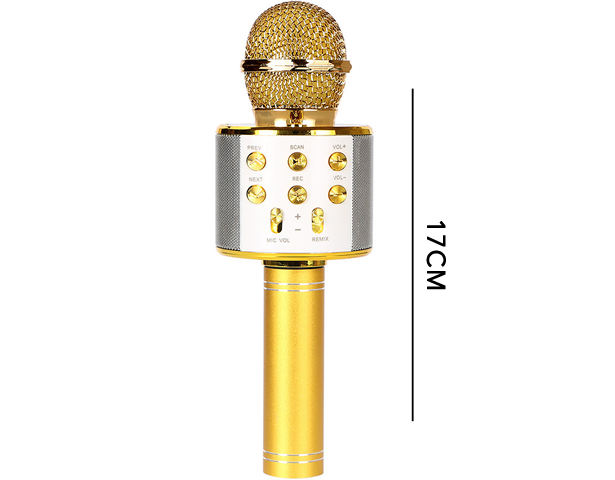 Wireless Microphone Musical Toy