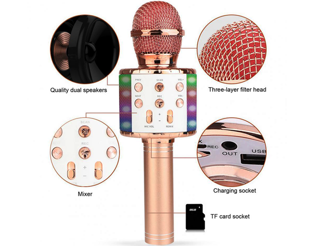 Wireless Microphone Musical Toy