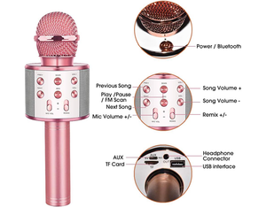 Wireless Microphone Musical Toy