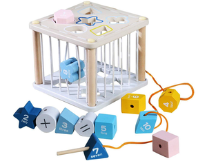 Montessori Wooden Puzzle Toy