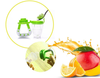 Baby Fruits Feeder Pacifier