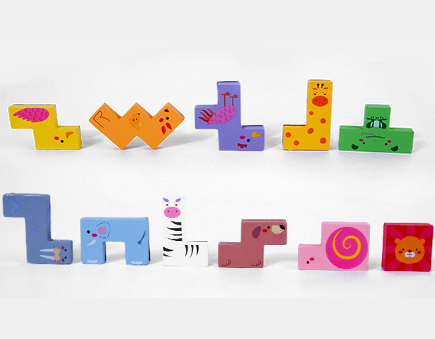 Montessori Animal Magnetic Jigsaw