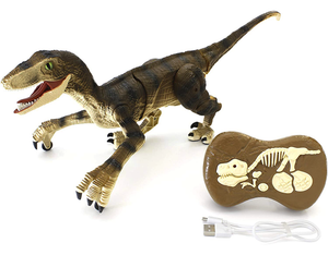 Remote Control Dinosaur Toy