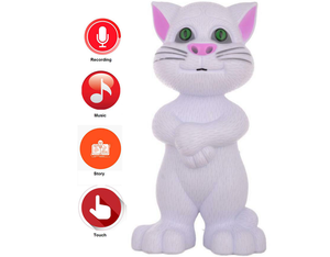 Musical Intelligent Talking Cat